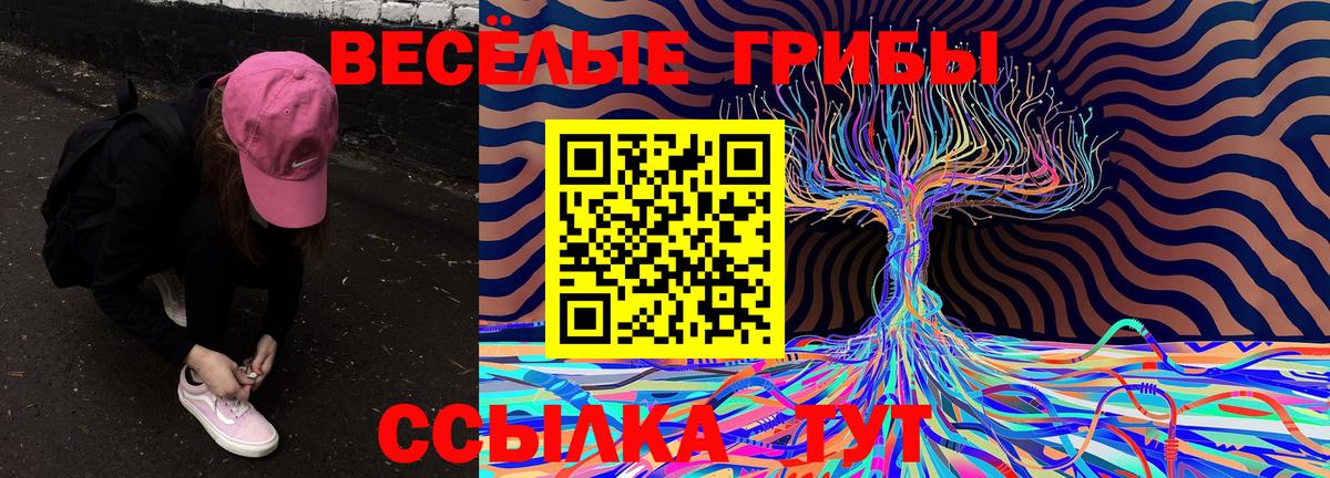 закладка  Галлюциногенные грибы GOLDEN TEACHER  Вход с VPN  Нефтекамск  Галлюциногенные грибы ЛСД 